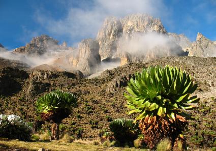 Mount Kenya_21_3.jpg